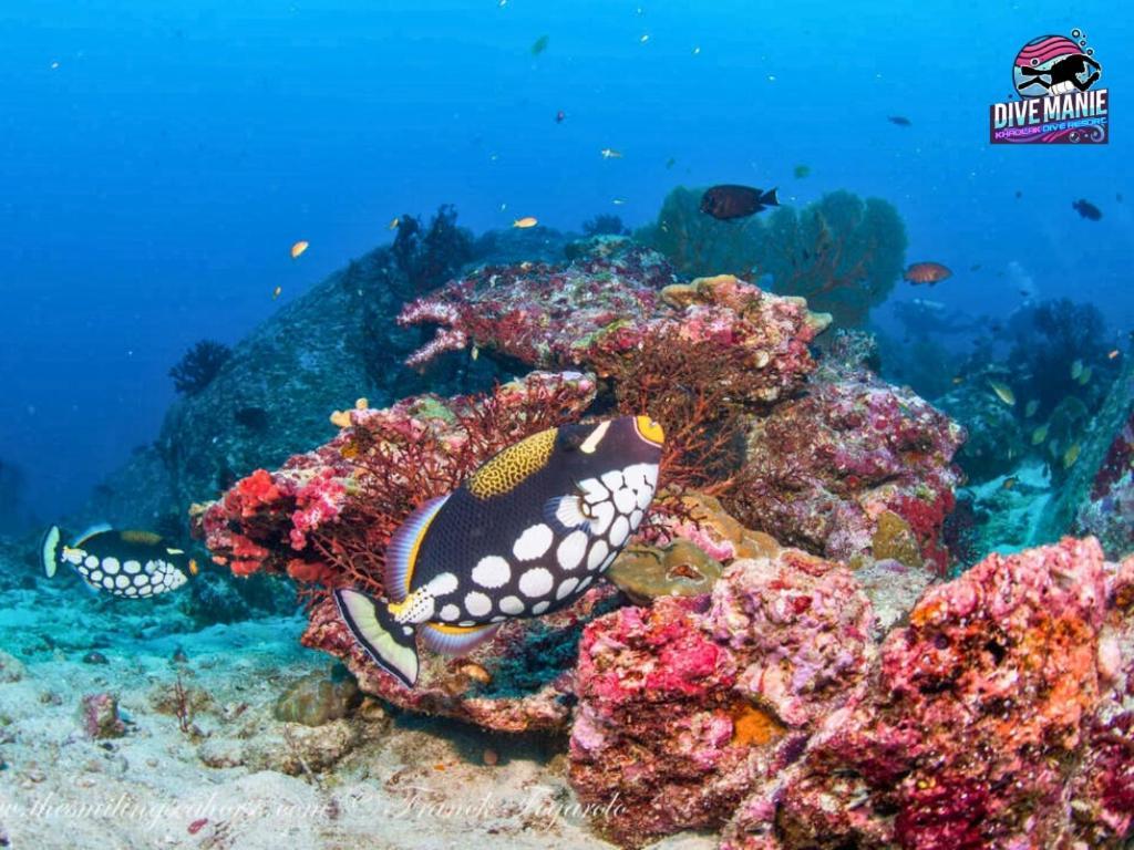 Khaolak Dive Resort 카오락 외부 사진