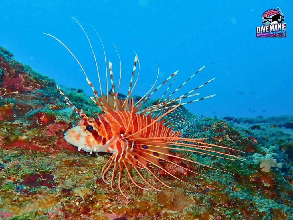 Khaolak Dive Resort 카오락 외부 사진
