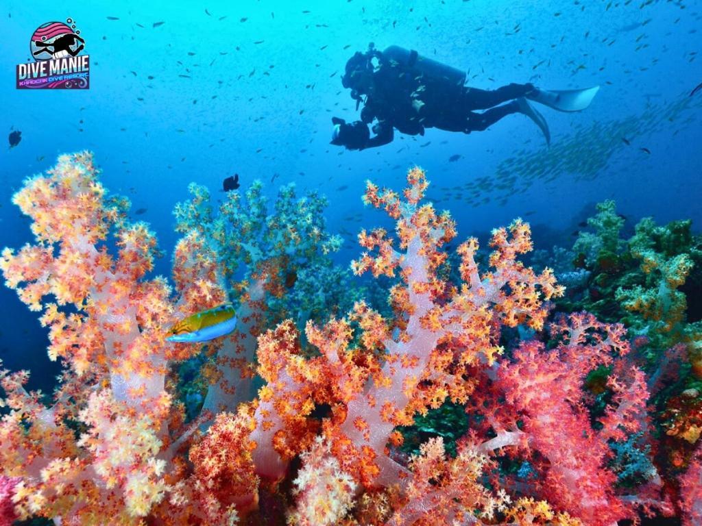 Khaolak Dive Resort 카오락 외부 사진