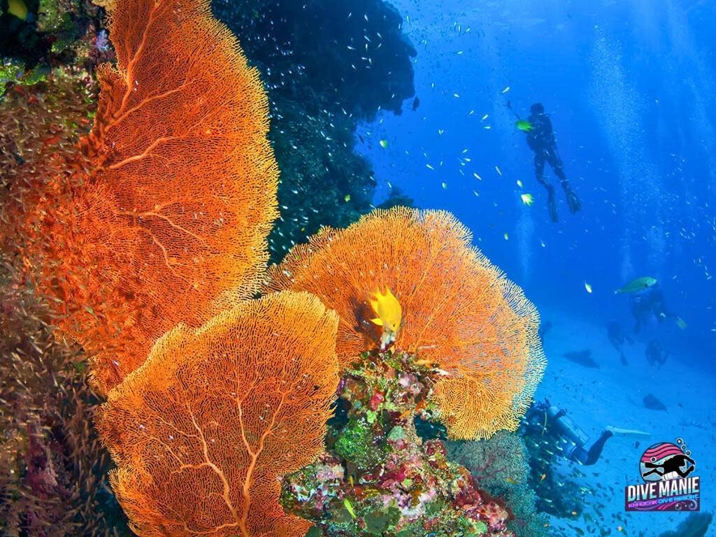 Khaolak Dive Resort 카오락 외부 사진