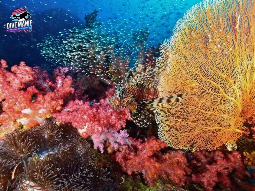 Khaolak Dive Resort 카오락 외부 사진